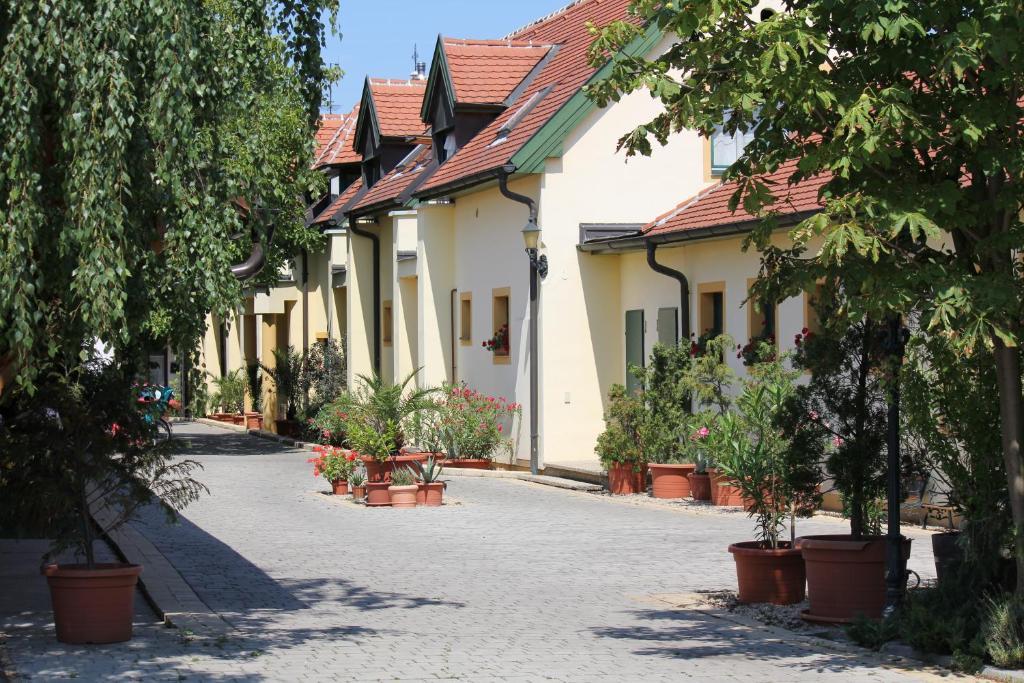 Levanda Panzio Kópháza Екстериор снимка